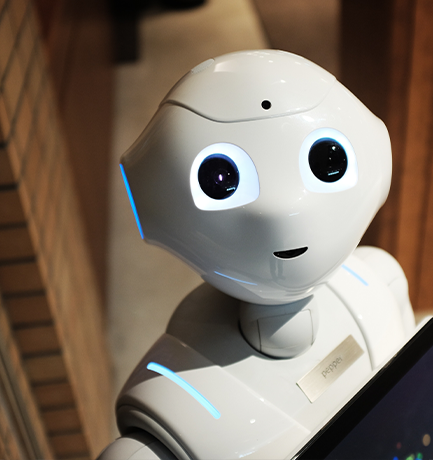 The Future of Travel Robots The Future of Travel Robots